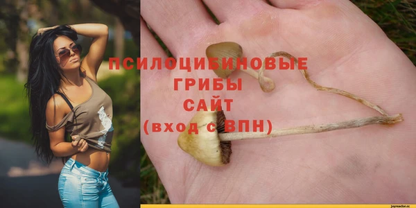 ALPHA PVP Абинск