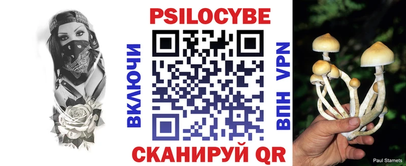 Галлюциногенные грибы MAGIC MUSHROOMS  Тавда 